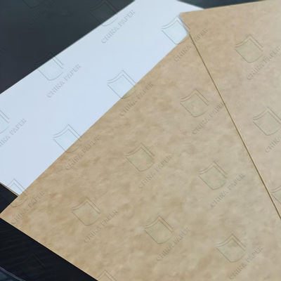 İyi bir fiyat. Gıda sınıfı kaplı Kraft arka tahta CKB Nem geçirmez 600x900mm 700x1000mm çevrimiçi